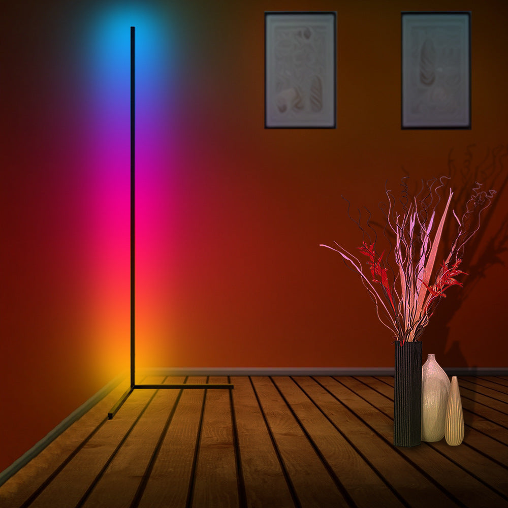 "Halo" Shadow Floor Lamp